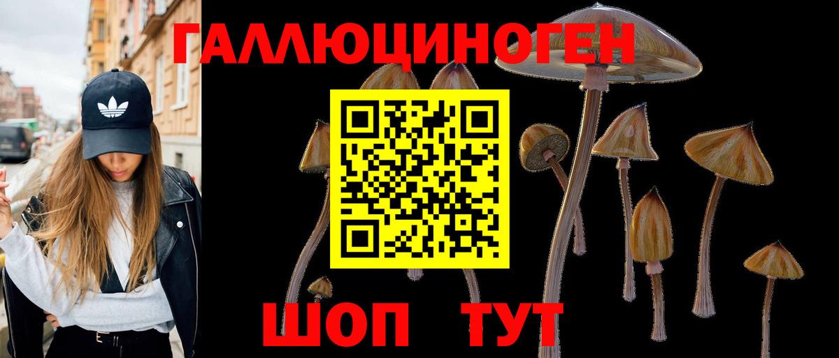 дарнет шоп  Вход с VPN  Калининград  Галлюциногенные грибы Psilocybe  Галлюциногенные грибы Psilocybe 