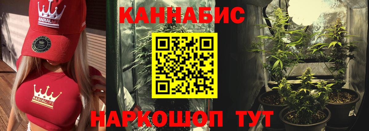 Бошки марихуана VHQ Калининград